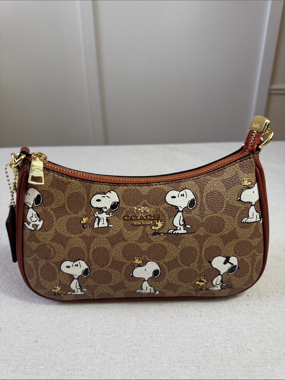 Coach x Peanuts Teri Brown Canvas Snoopy Mini Crossbody Bag